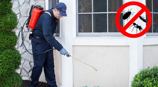 Nazımiye Akrep İlaçlama böcek ilaçlama ve haşere kontrolü — ilaclama-tr.com